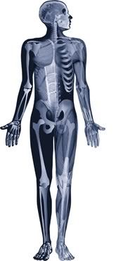 osteopath-figure2.jpg
